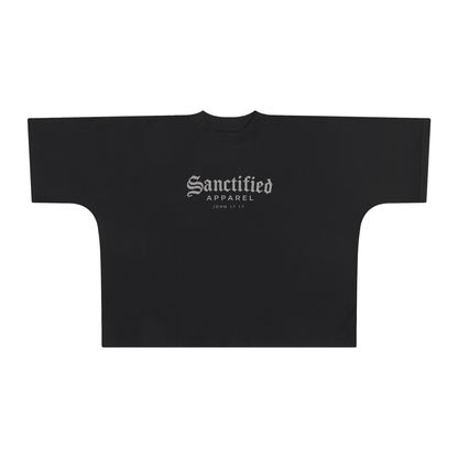 SANCTIFIED JOHN 17:17 BOX TEE