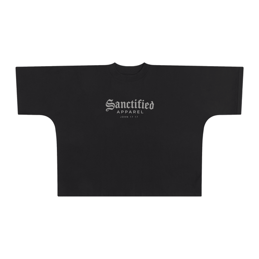 SANCTIFIED JOHN 17:17 BOX TEE